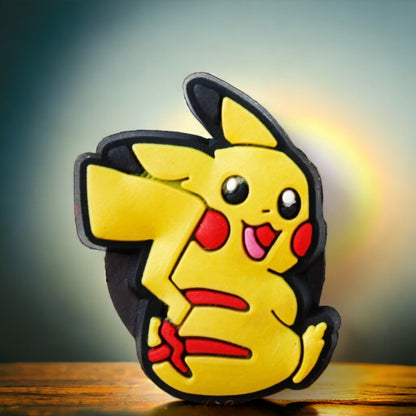 Pokémon Magnet Set